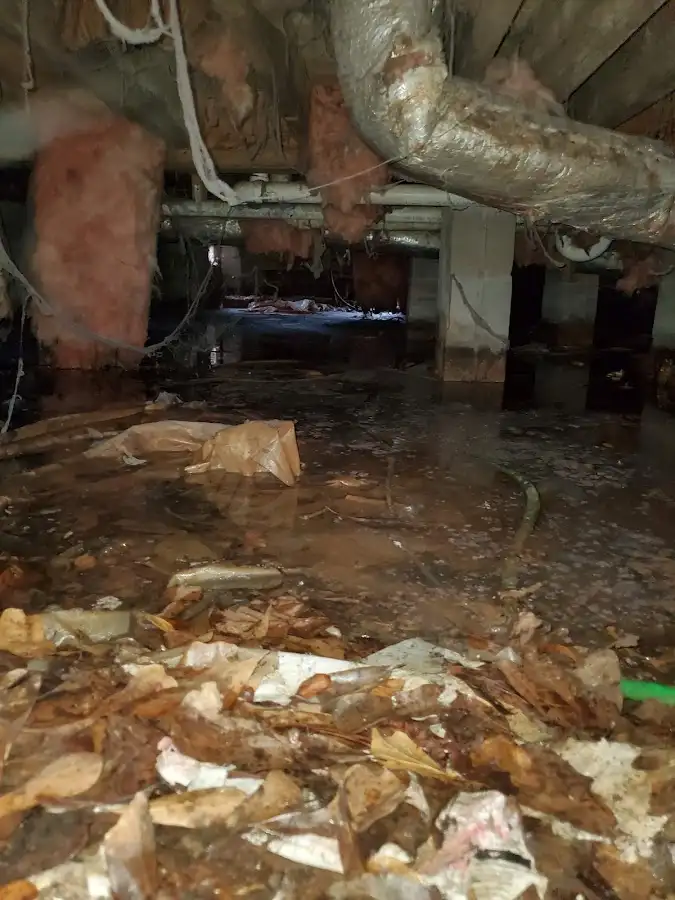 Crawl space flood assessment for Leak Detection & Repair in East Hanover