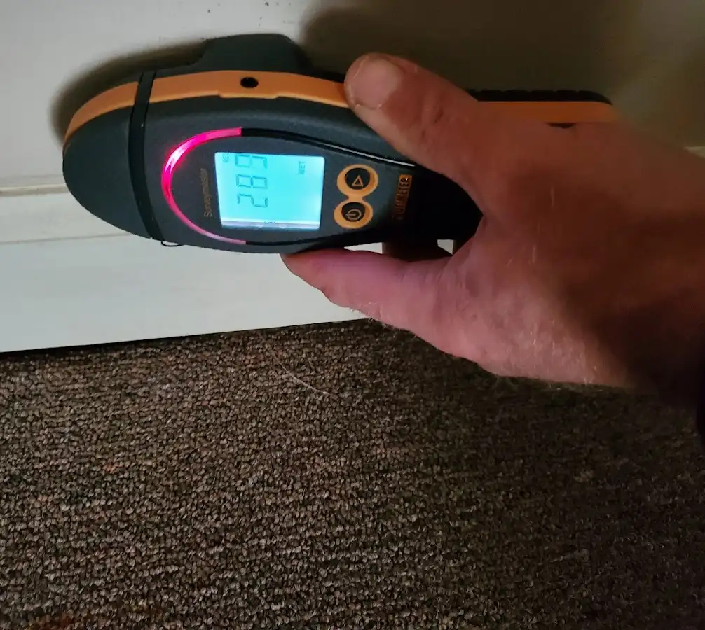 Moisture detection at baseboard during Sewage Cleanup & Sanitation in East Hanover